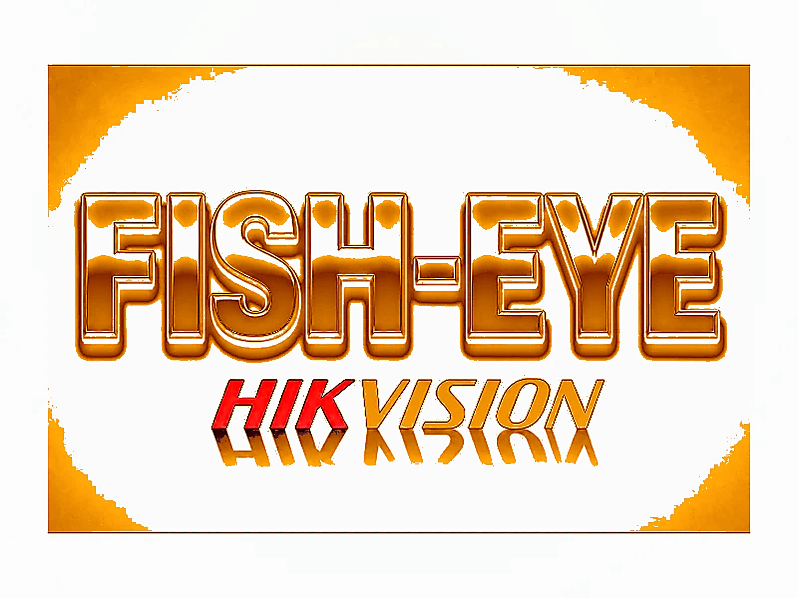 מצלמה רשת עין דג Hikvision